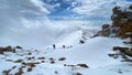 Several hikers climb uphill in a heavy snowstorm. Climbers with small backpacks and trekking poles walk along a snowy slope in a