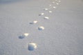 Several human footprints