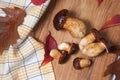 Several Imleria Badia or Boletus badius mushrooms commonly known as the bay bolete on wooden cutting board