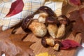 Several Imleria Badia or Boletus badius mushrooms commonly known as the bay bolete on wooden cutting board