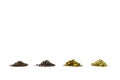 Several kinds of tea leaves black green collection different white background