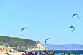 several kite surfers over the beach during a sunny day
