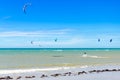 Several kite surfing on the air at the Cumbuco