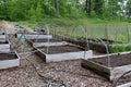 Large wooden boxes filled with fresh fruits and vegetables that have not yet pushed through the rich soil of backyard garden Royalty Free Stock Photo