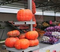 Several large orange pumpkins on the counter. pumpkin harvest. preparing for Halloween.