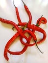 several large red chilies were scattered on the floor