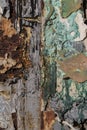 Several layers of different colors on rusty metal Royalty Free Stock Photo