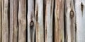 Several light colored, wood poles, debarked, stacked and arranged. Royalty Free Stock Photo