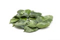 Several lime leaves Royalty Free Stock Photo
