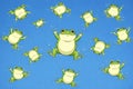 Several many alike same similar happy frogs against a deep blue backdrop Royalty Free Stock Photo