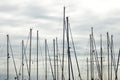 Several Marina sailboats
