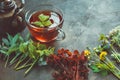 Several medicinal plants and herbs, healthy herbal tea cup and vintage copper tea kettle. Herbal medicine