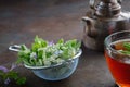 Several medicinal plants and herbs in tea infuser, healthy herbal tea cup and vintage copper tea kettle. Herbal medicine. Royalty Free Stock Photo