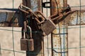 several metal rusted locks