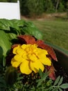 Porch planter