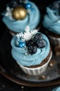 Several muffins or cupcakes with blue shaped cream and blueberrieson at black table. Rustic style copyspace