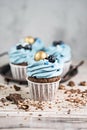 Several muffins or cupcakes with blue shaped cream and blueberrieson at white table. Rustic style copyspace.