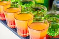 Several multicolored alcoholic drinks shots on the bar counter