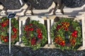 Several new years wreathes with cones