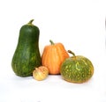 Several orange and mottled green pumpkins with large and small sizes and different shapes