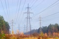 Several overhead power lines among autumnal forest