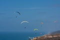 Several paragliders at Torrey Pines Gliderport in La Jolla