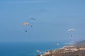 Several paragliders at Torrey Pines Gliderport in La Jolla