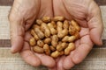 hand with several peanuts in shell - food leguminous plant Royalty Free Stock Photo