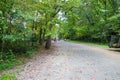 A several people running down a long winding dirt hiking trail covered with fallen autumn leaves Royalty Free Stock Photo