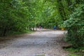 A several people running down a long winding dirt hiking trail covered with fallen autumn leaves