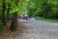 A several people running down a long winding dirt hiking trail covered with fallen autumn leaves