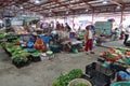 Several people in the vegetable selling area of the Ba Le market in Hoi An