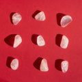Several pieces of polished pink quartz on red background. Minimal color still life photography Royalty Free Stock Photo