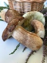 Several porcini mushrooms and a bunch of blooming fern. Near a wicker basket