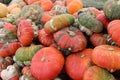 Several pumpkins in variety of shapes and sizes help welcome Fall holidays