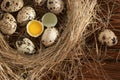 Several quail eggs in a decorative nest made of straw on a wooden table close-up, flatlay Royalty Free Stock Photo