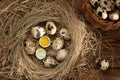 Several quail eggs in a decorative nest of straw and in a basket on a wooden table close-up, flatlay Royalty Free Stock Photo