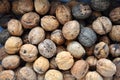 Ripe raw walnuts in a heap Royalty Free Stock Photo