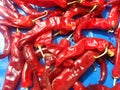 Several Red hot shiny chilli peppers Royalty Free Stock Photo