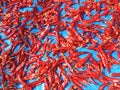 Several Red hot shiny chilli peppers Royalty Free Stock Photo