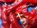 Several Red hot shiny chilli peppers Royalty Free Stock Photo