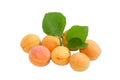 Several ripe apricots with several leaves closeup Royalty Free Stock Photo