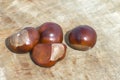 Several ripe horse chestnut fruits on a plain background. Medicinal and cosmetic raw materials from horse chestnuts