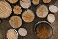 Several round-cut wooden stumps on the surface with the distance between them