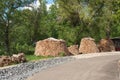 Several round woodpile