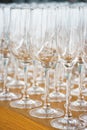 Several rows clear, clean glasses for wine and champagne on counter prepared for drinks. Royalty Free Stock Photo