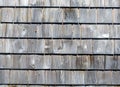 Several rows of weathered gray cedar shingles in morning light close view Royalty Free Stock Photo