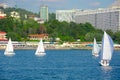 Yacht regatta in Sochi on the background of the embankment and city