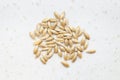 Several scagliola canary seeds close up on gray