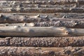 Several scots pine logs stacked up, with various degrees of bark removal